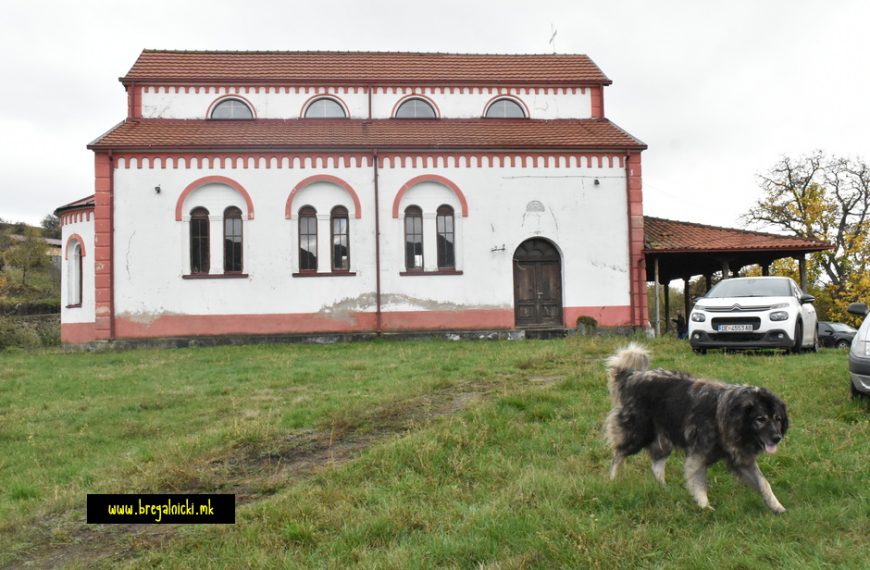 Митровден одбележан со многу народ на достоинствен начин во делчевското село Град